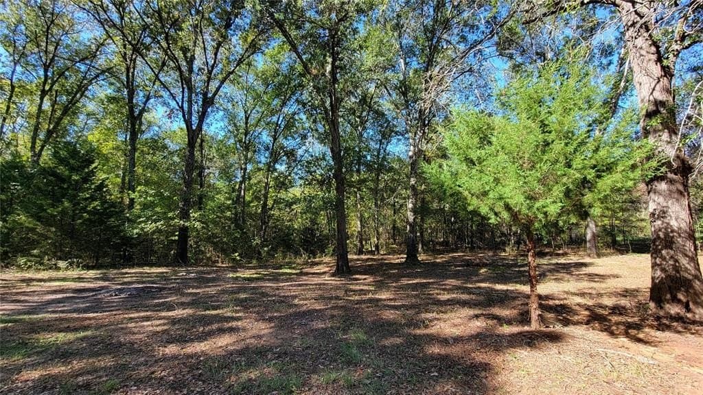 25.52 acres in Henderson County - photo 6