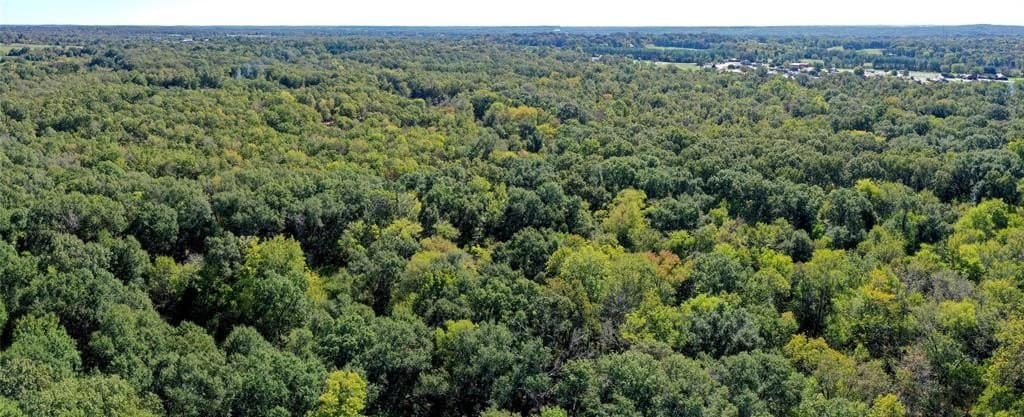 25.52 acres in Henderson County - photo 7