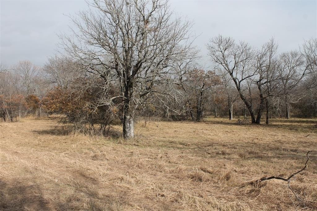 1.58 acres in Wise County - photo 3