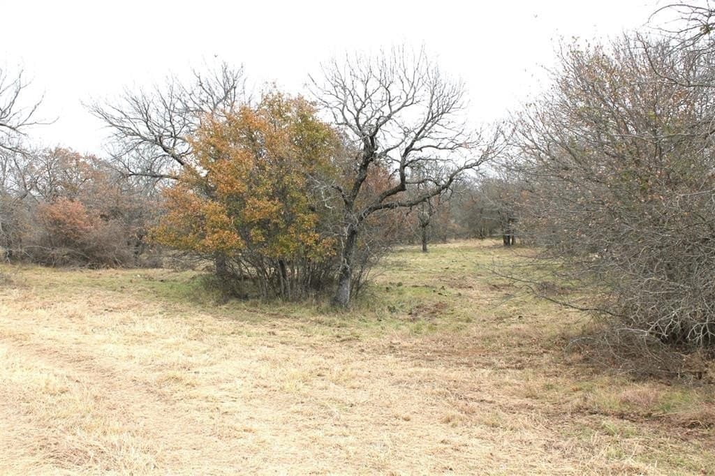 1.58 acres in Wise County - photo 6