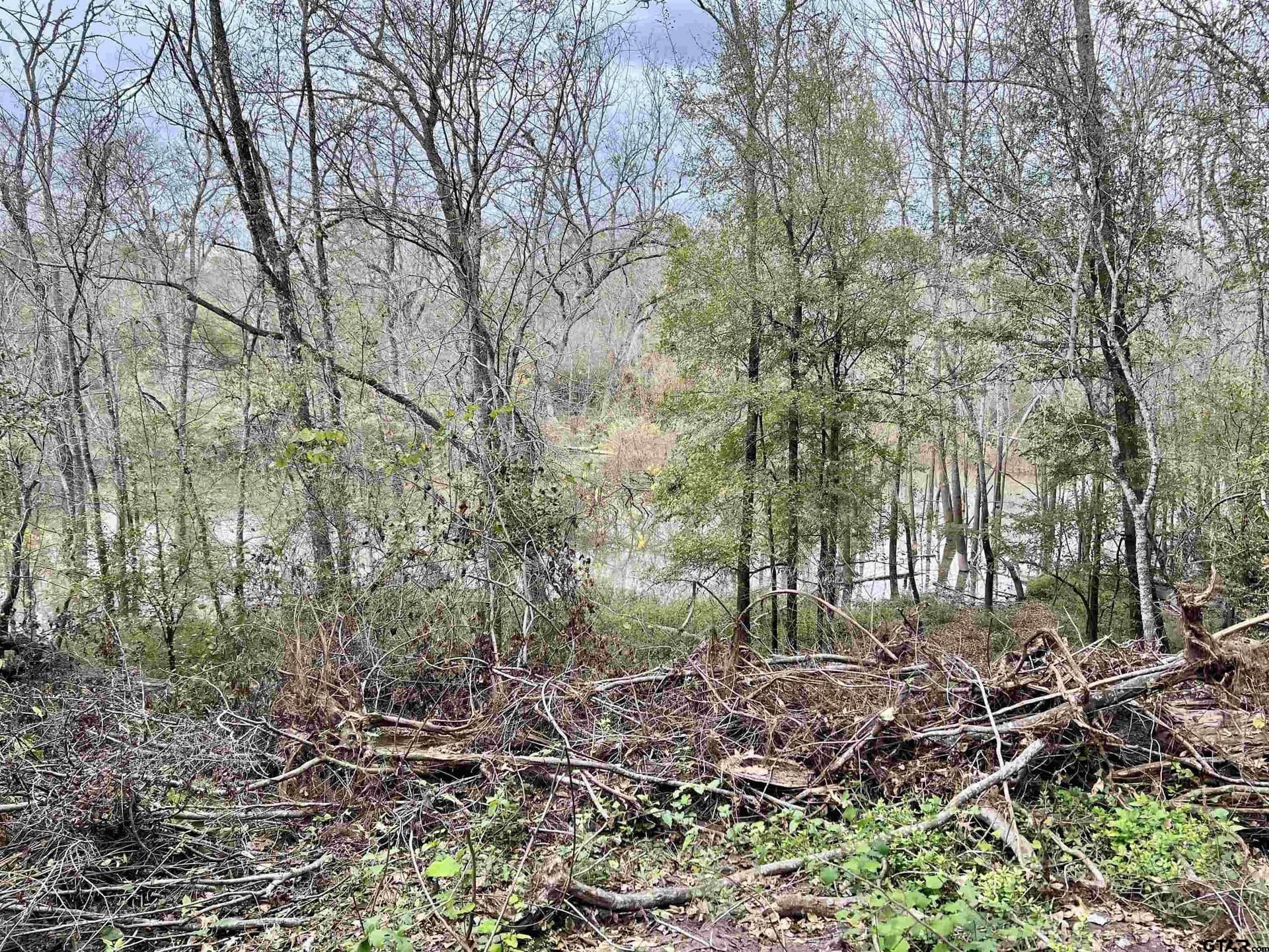 29.34 acres in Anderson County - photo 18