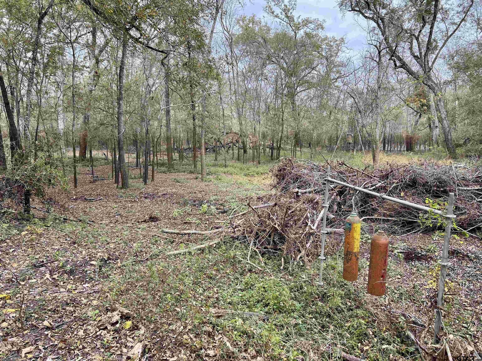 29.34 acres in Anderson County - photo 15
