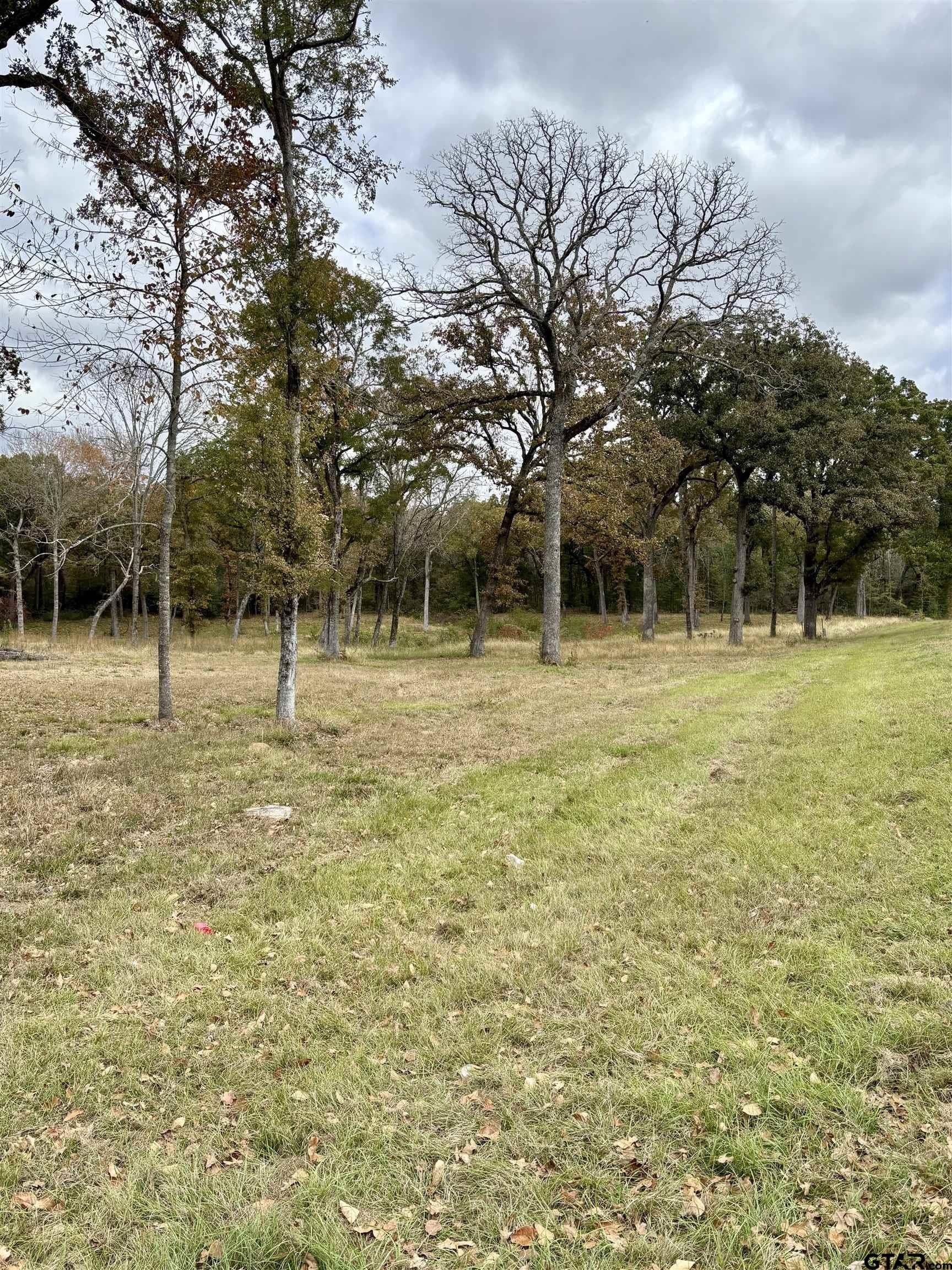 29.34 acres in Anderson County - photo 8