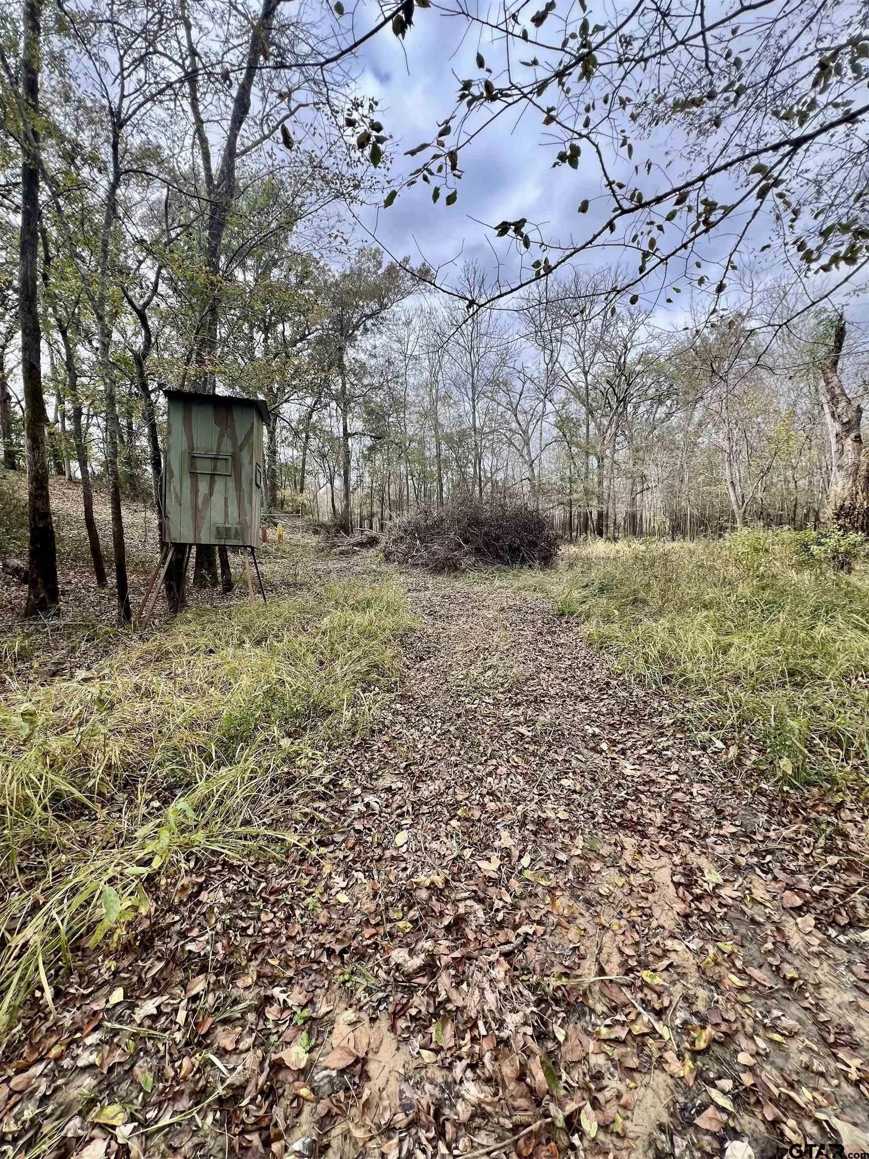 29.34 acres in Anderson County - photo 16