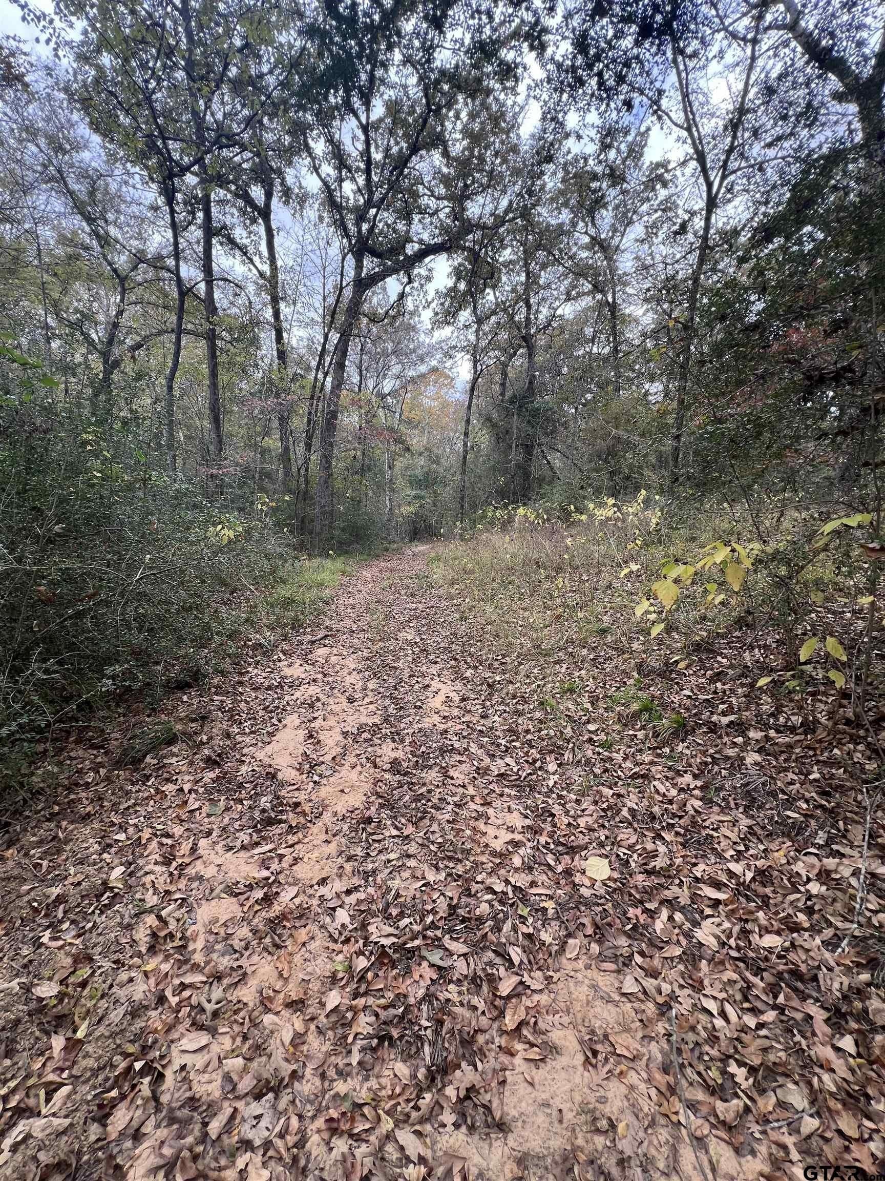 29.34 acres in Anderson County - photo 14