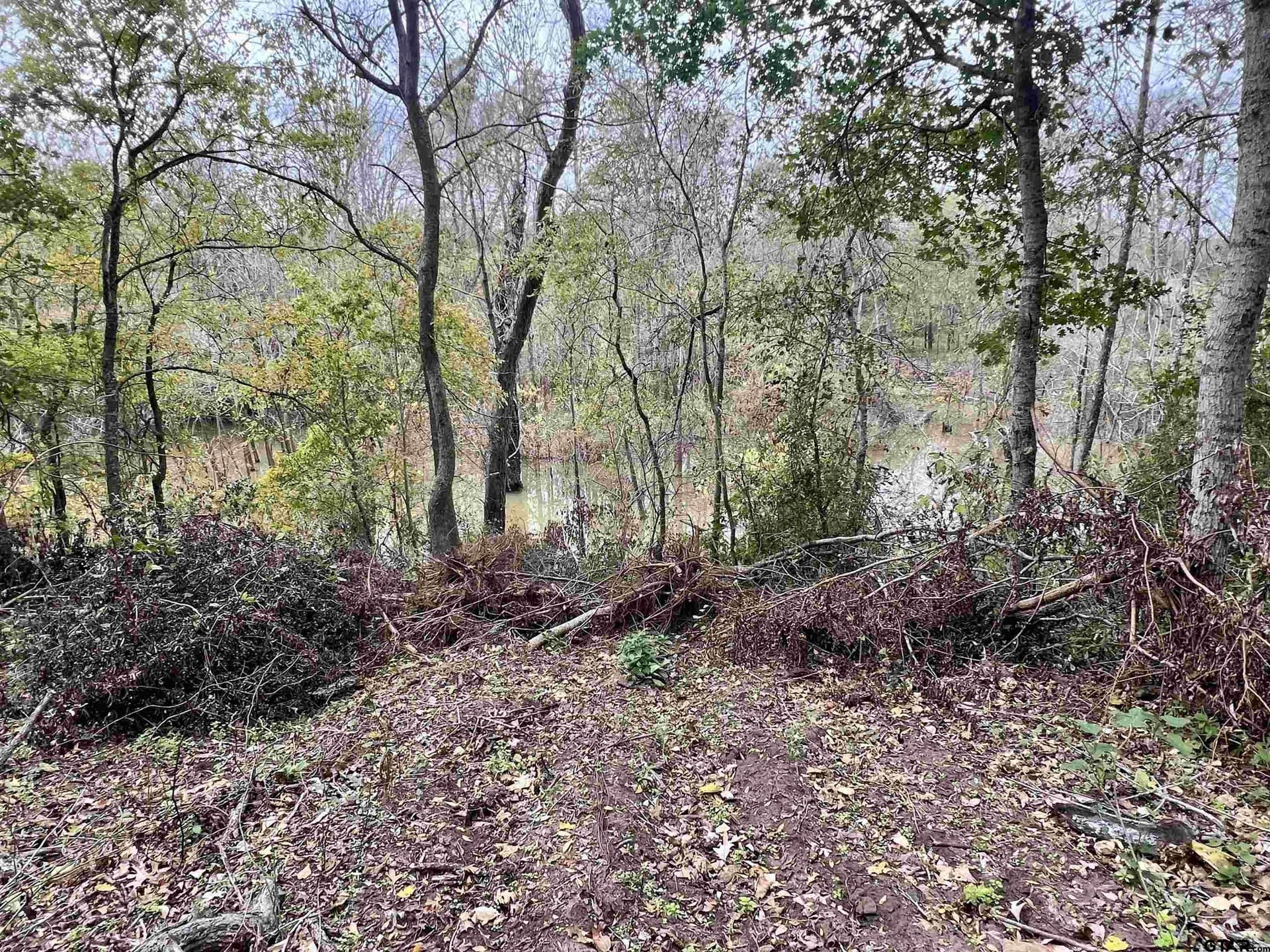29.34 acres in Anderson County - photo 19