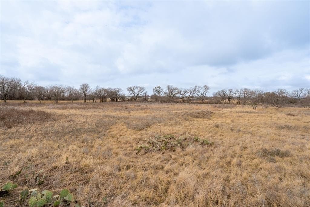 26.64 acres in Erath County - photo 8