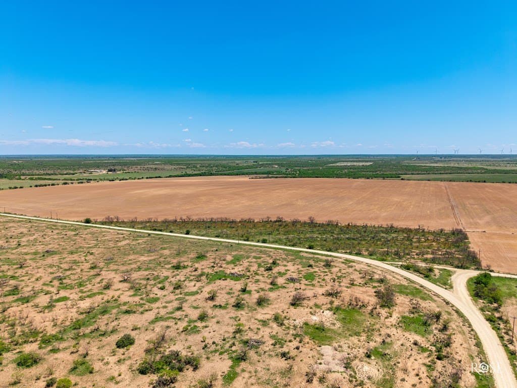 160 acres in Concho County - photo 20