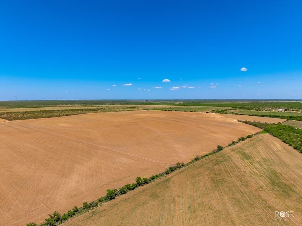 160 acres in Concho County - photo 13