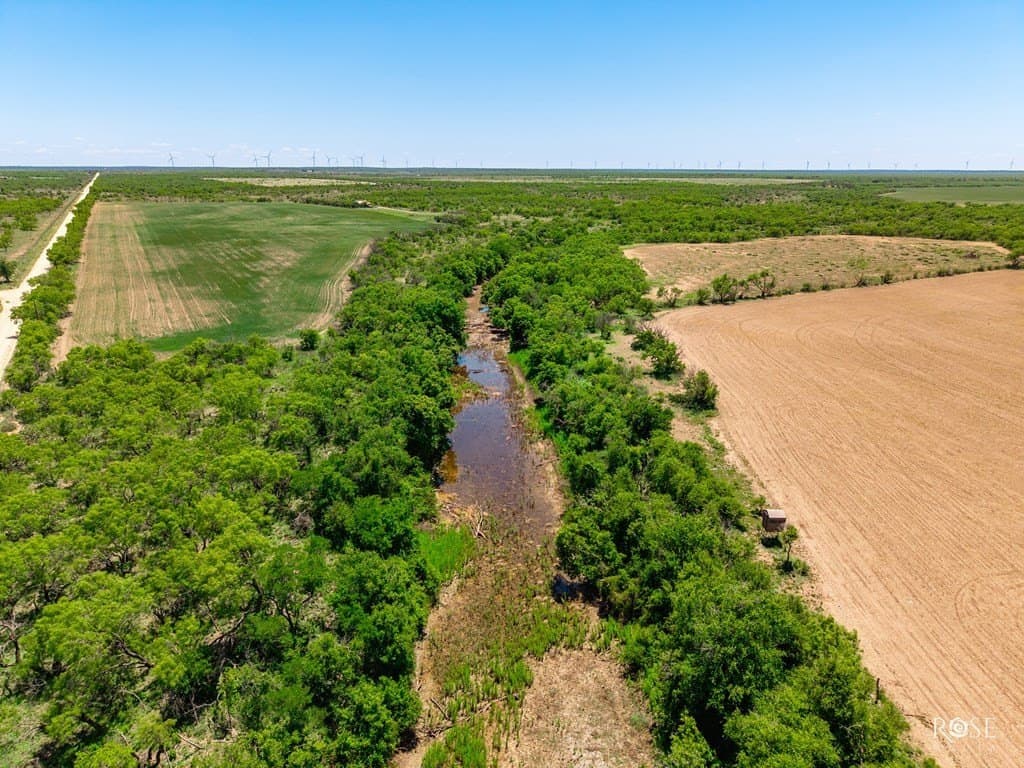 160 acres in Concho County - photo 3