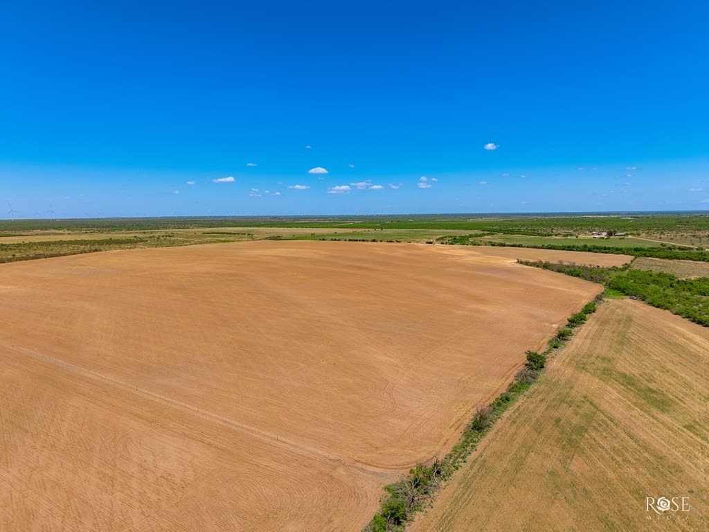 160 acres in Concho County - photo 9