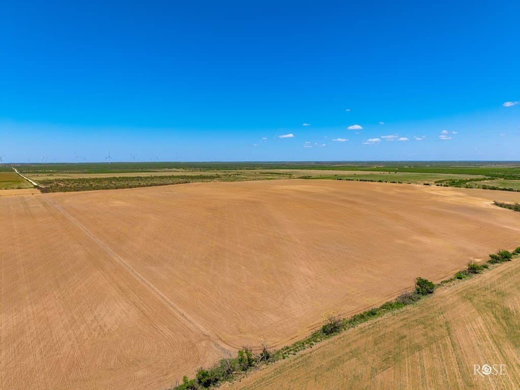 160 acres in Concho County - photo 10
