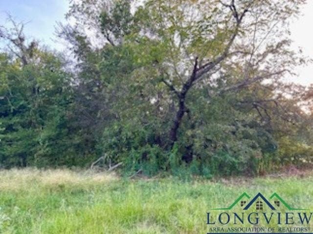 50 acres in Texas County - photo 6