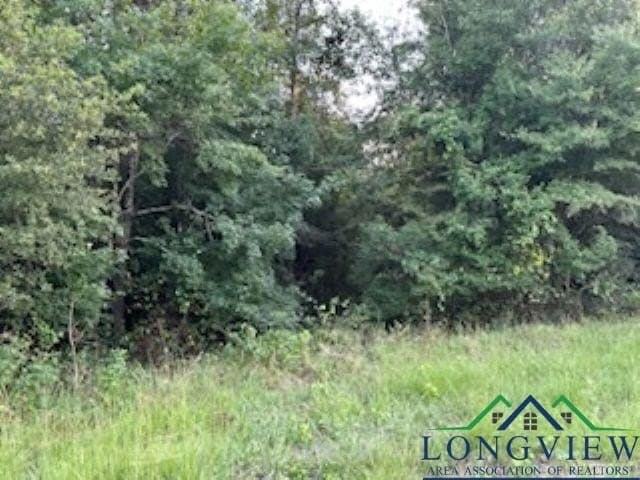 50 acres in Texas County - photo 8