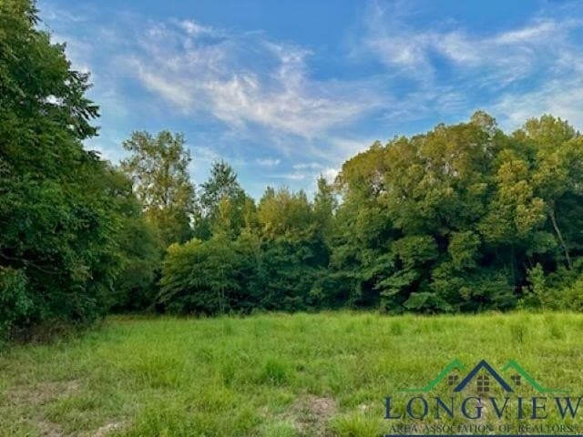 50 acres in Texas County - photo 3