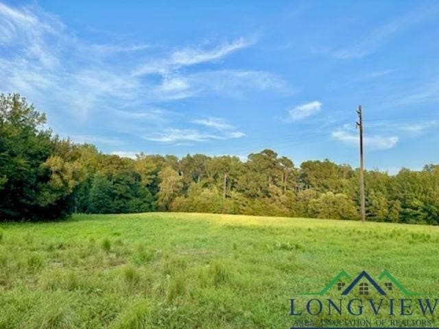 50 acres in Texas County - photo 4
