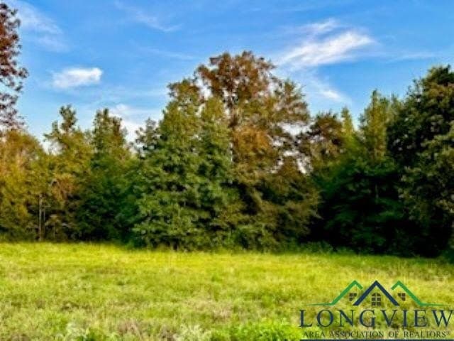 50 acres in Texas County - photo 9