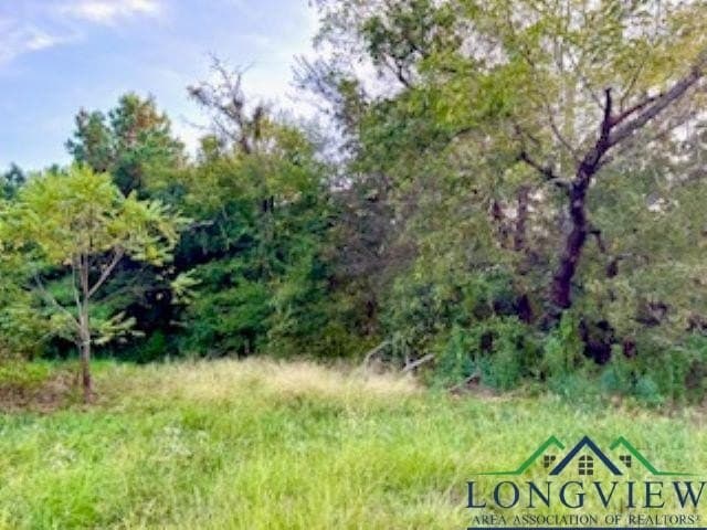 50 acres in Texas County - photo 5