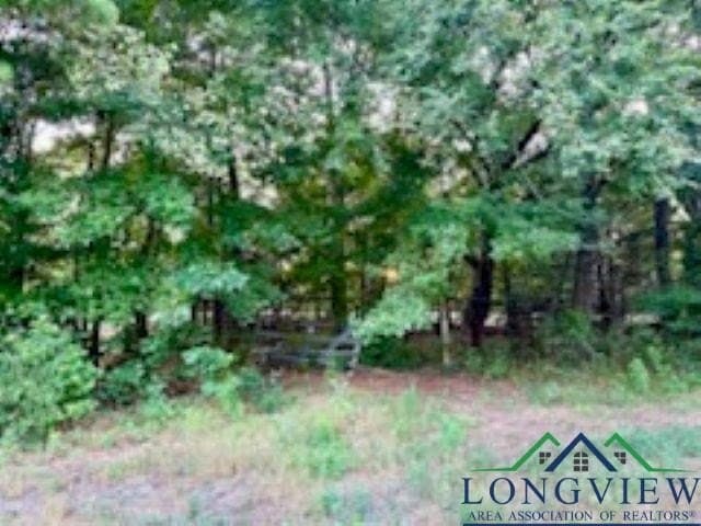 50 acres in Texas County - photo 13