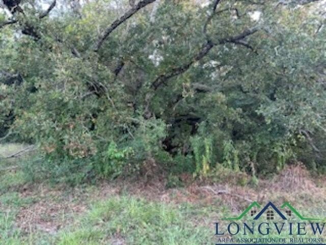 50 acres in Texas County - photo 7
