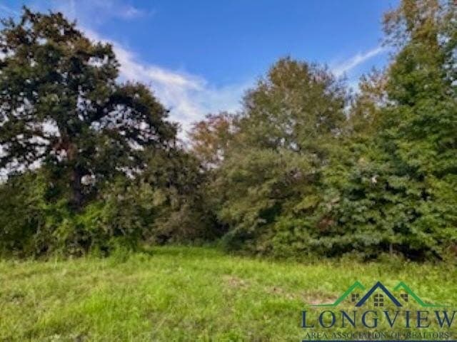 50 acres in Texas County - photo 10