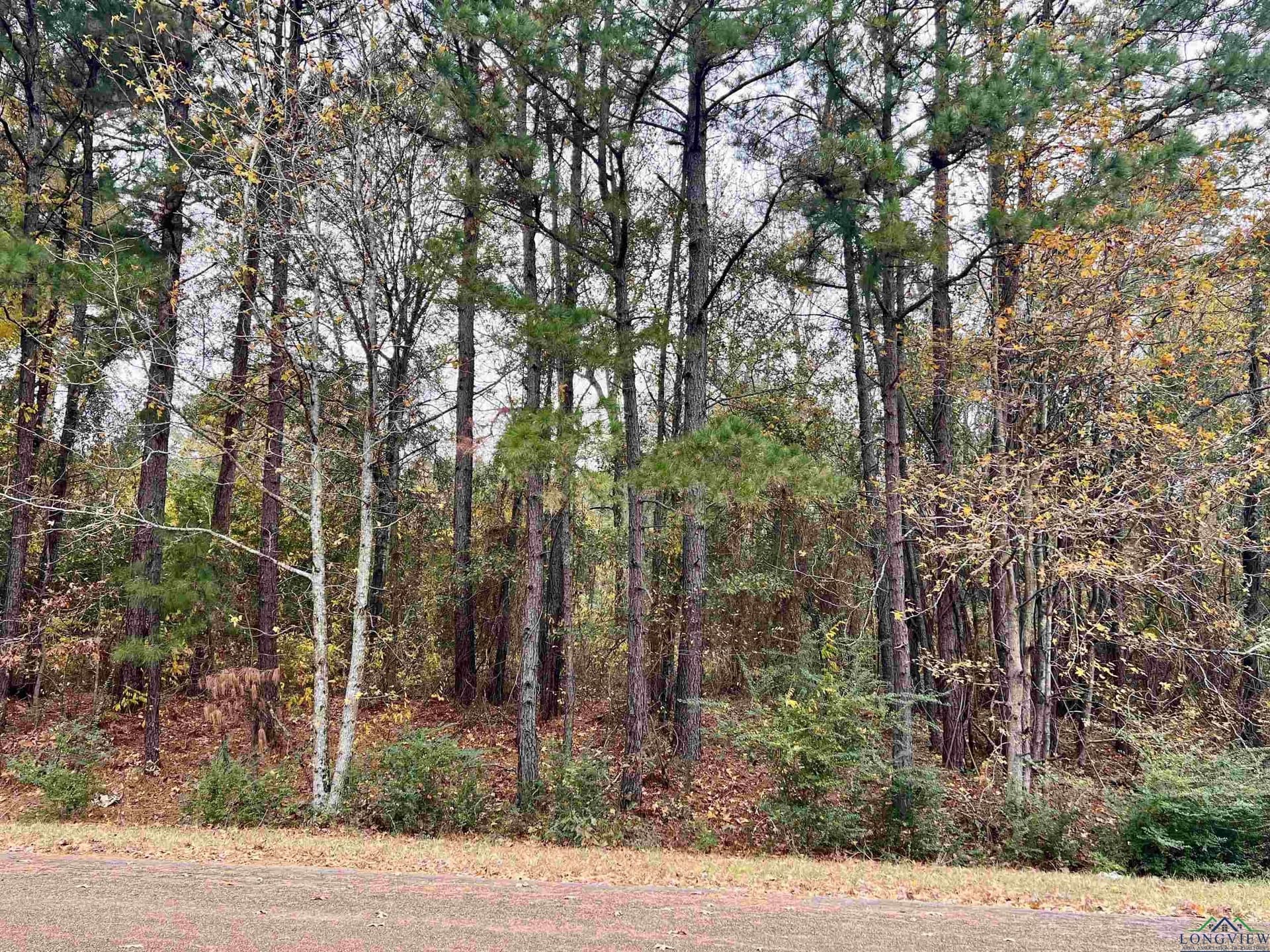 0.65 acres in Harrison County - photo 8