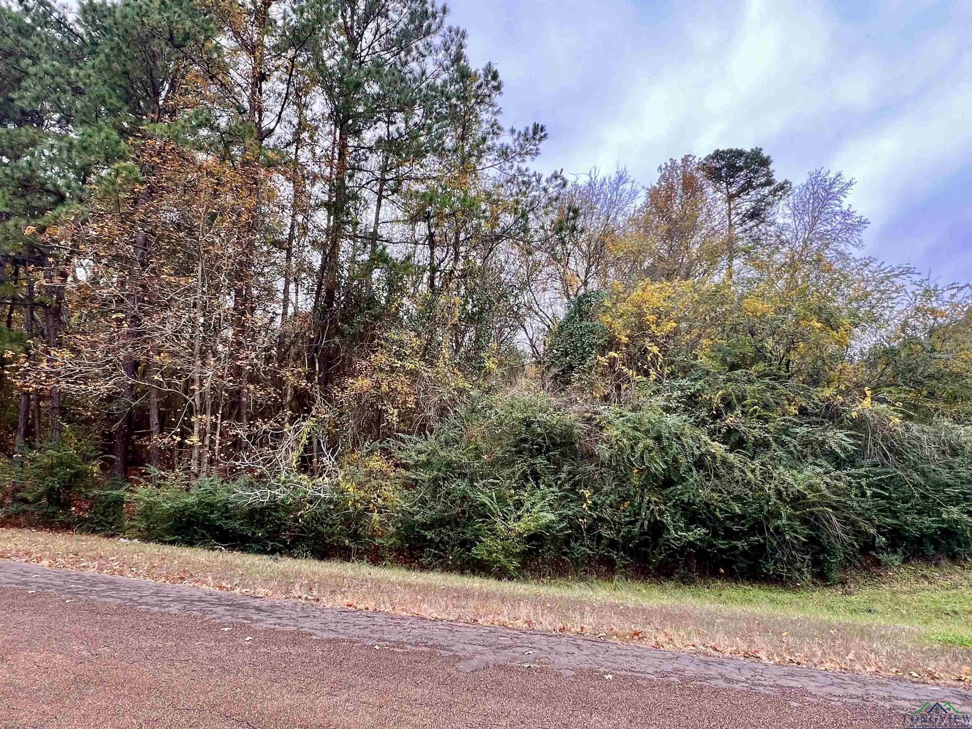 0.65 acres in Harrison County - photo 2