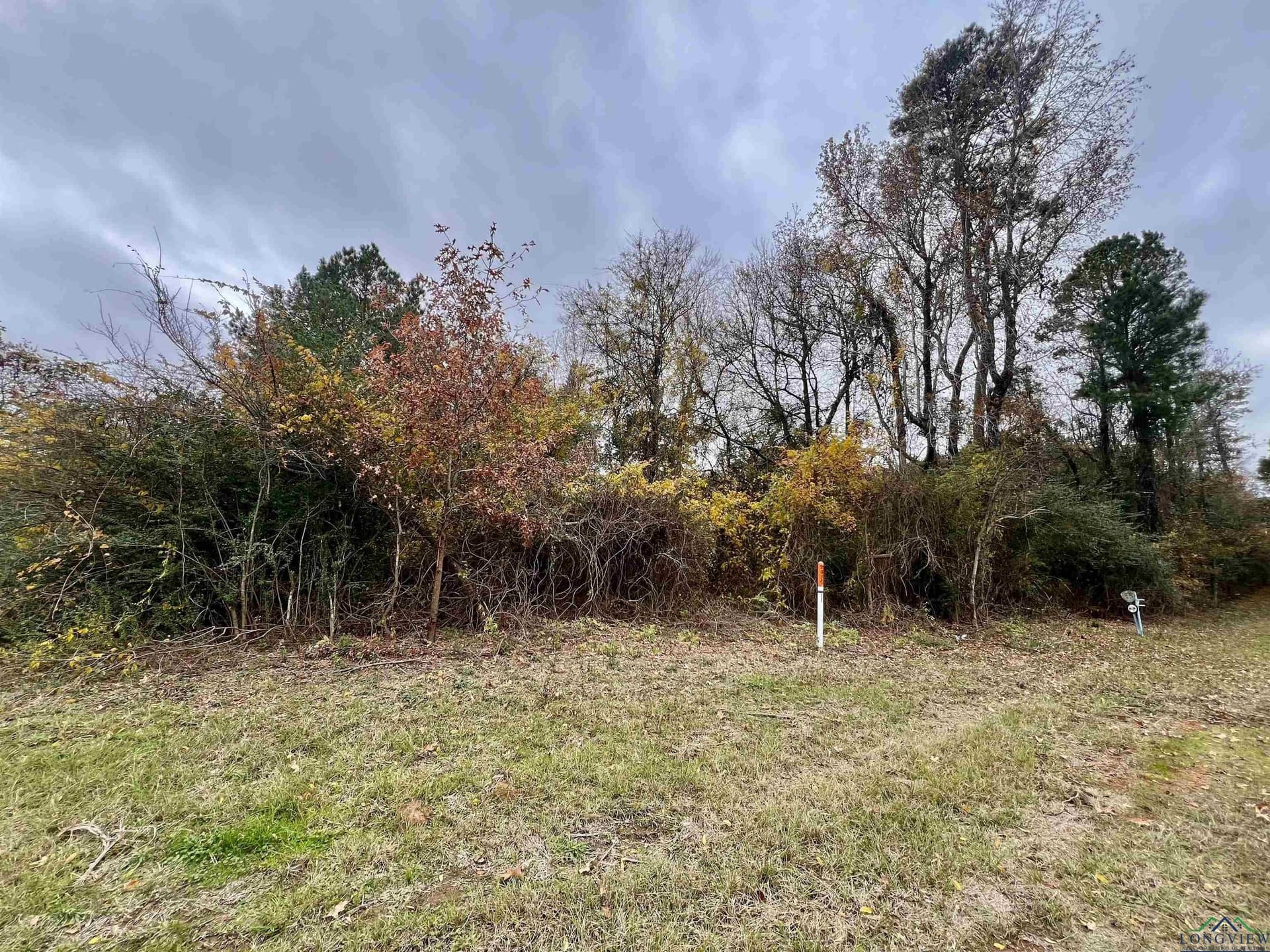 0.65 acres in Harrison County - photo 5