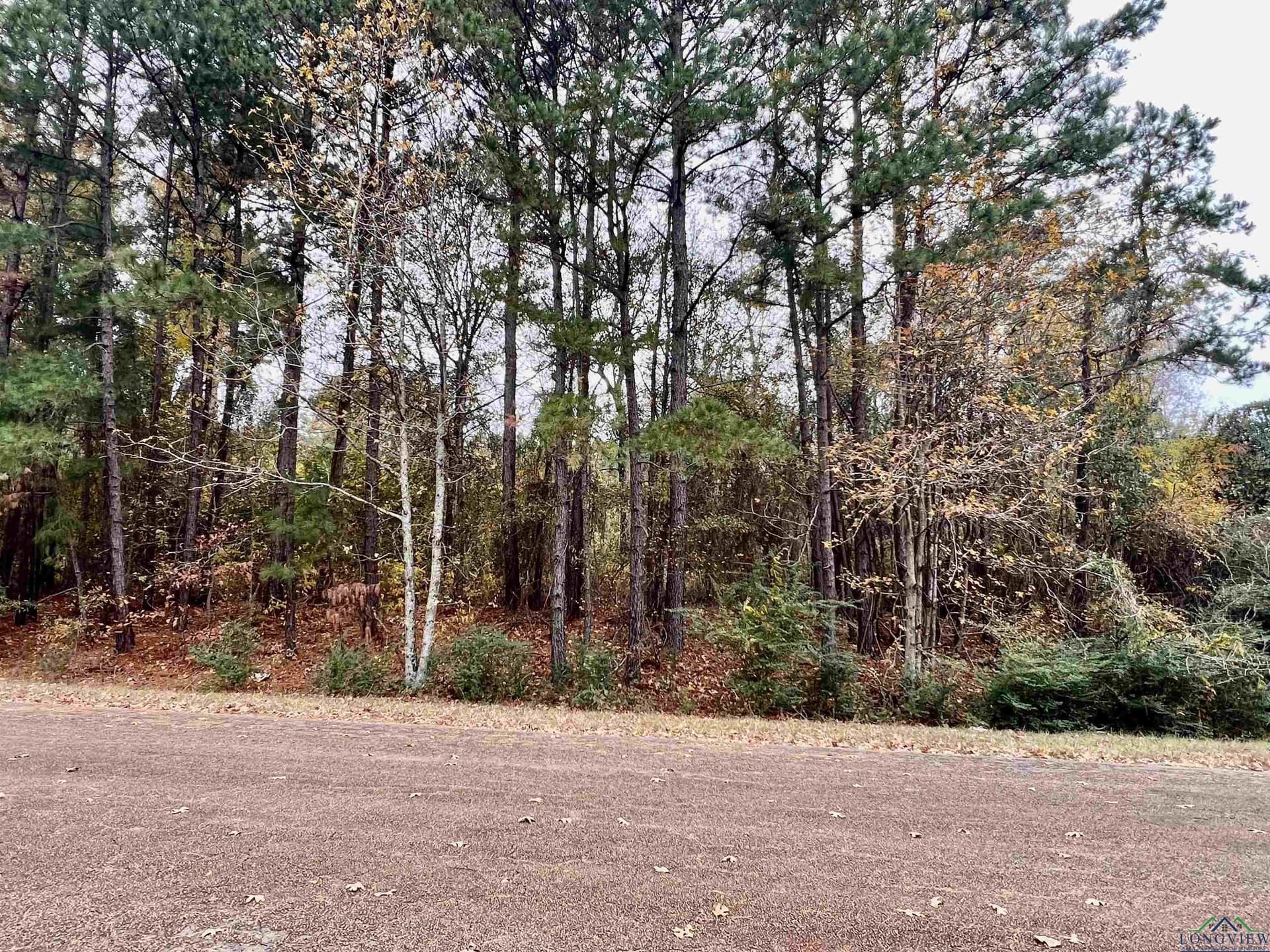 0.65 acres in Harrison County - photo 7