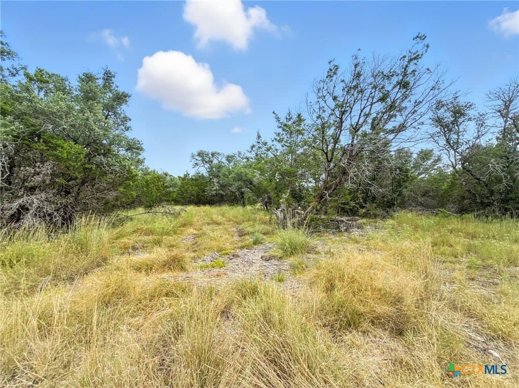 10.01 acres in Hamilton County - photo 11