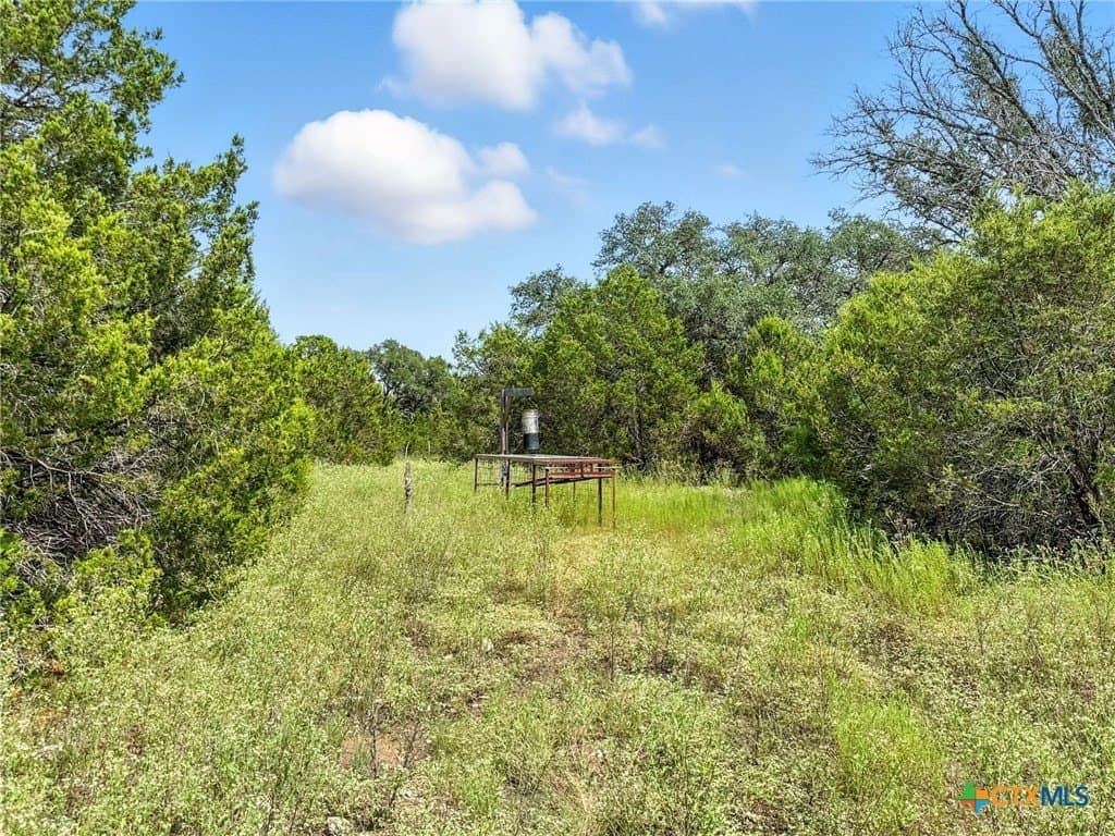 10.01 acres in Hamilton County - photo 5