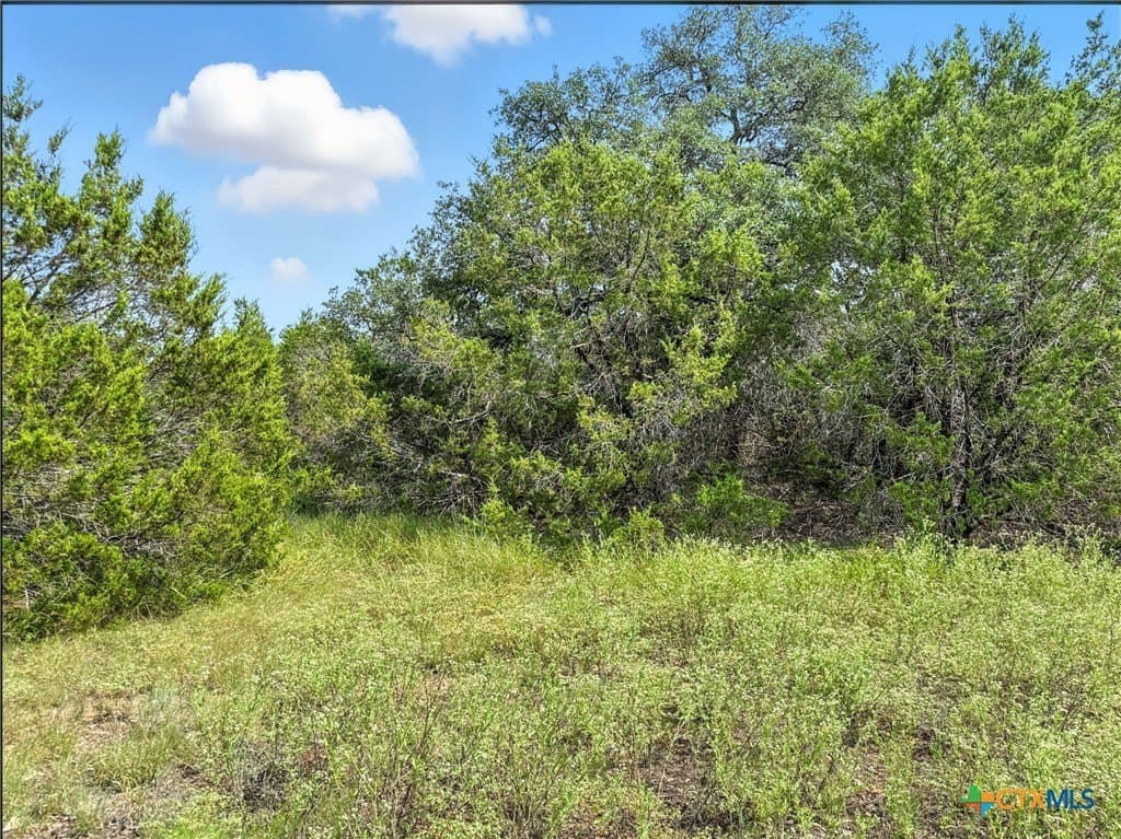 10.01 acres in Hamilton County - photo 15
