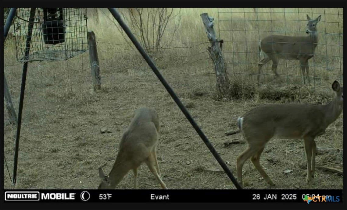10.01 acres in Hamilton County - photo 22