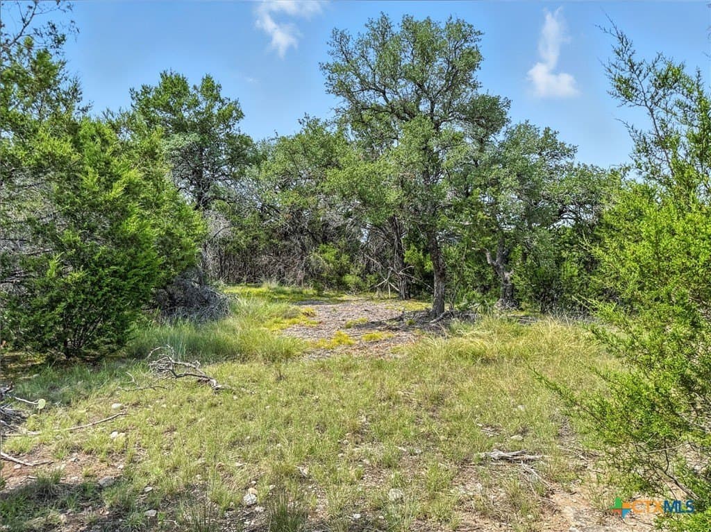 10.01 acres in Hamilton County - photo 9