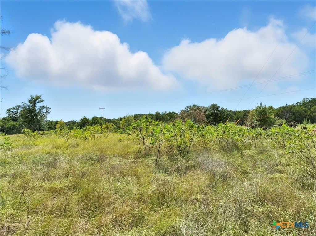 10.01 acres in Hamilton County - photo 2
