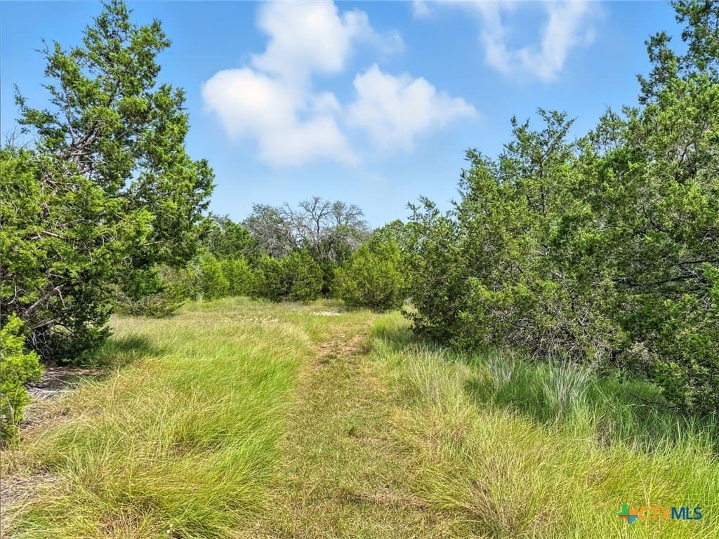 10.01 acres in Hamilton County - photo 14