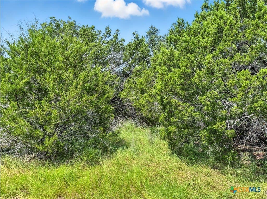 10.01 acres in Hamilton County - photo 17