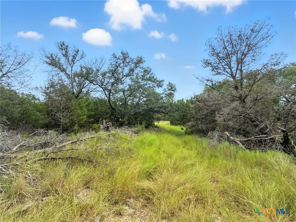 10.01 acres in Hamilton County - photo 10