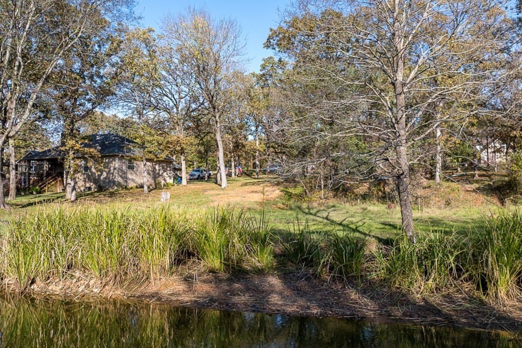 0.3 acres in Henderson County - photo 11
