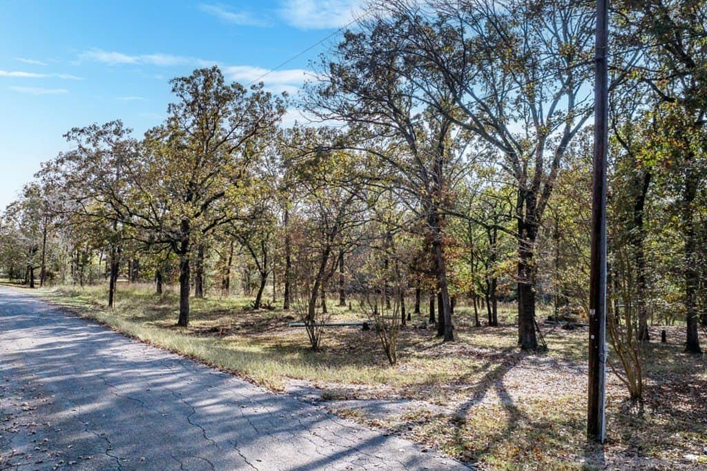 0.3 acres in Henderson County - photo 7