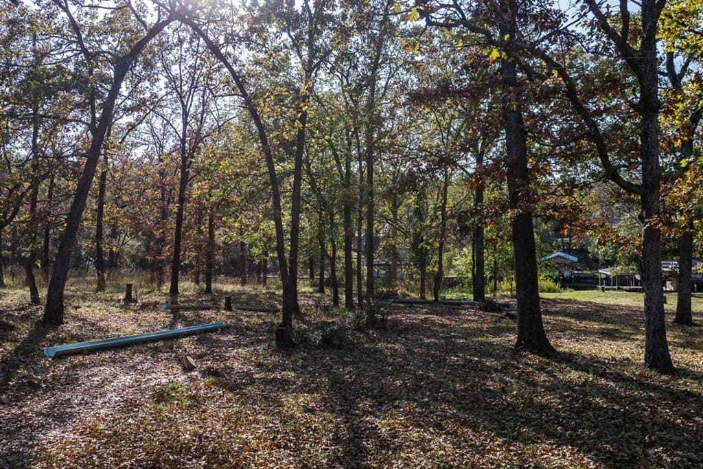 0.3 acres in Henderson County - photo 8