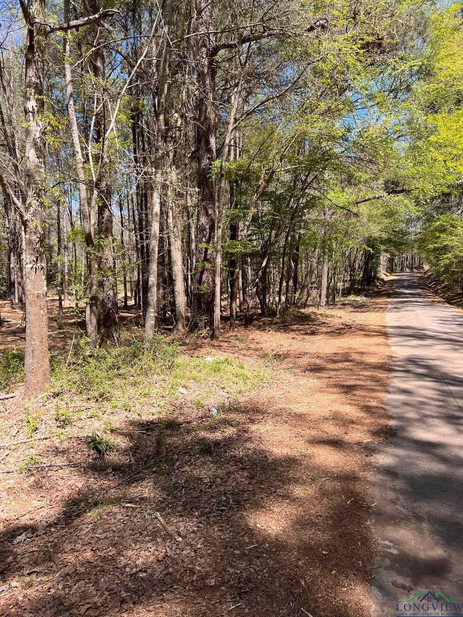 6.89 acres in Texas County - photo 3