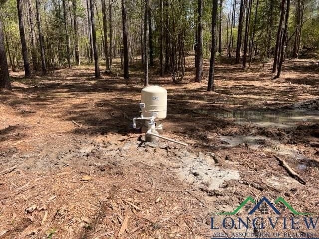 6.89 acres in Texas County - photo 2