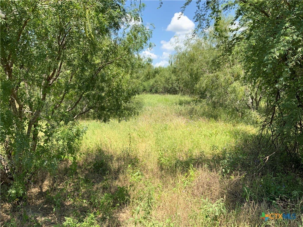 50.94 acres in San Patricio County - photo 4