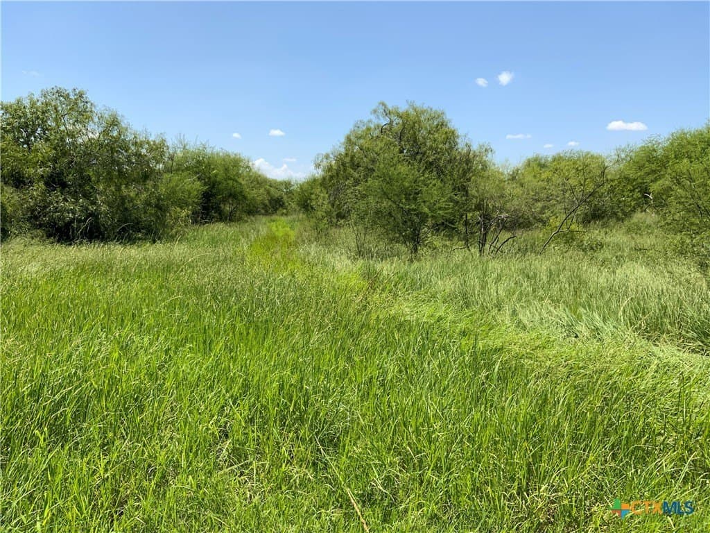 50.94 acres in San Patricio County - photo 8