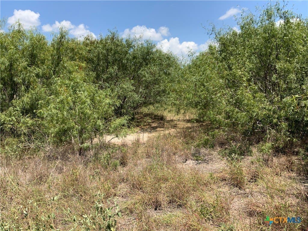 50.94 acres in San Patricio County - photo 2