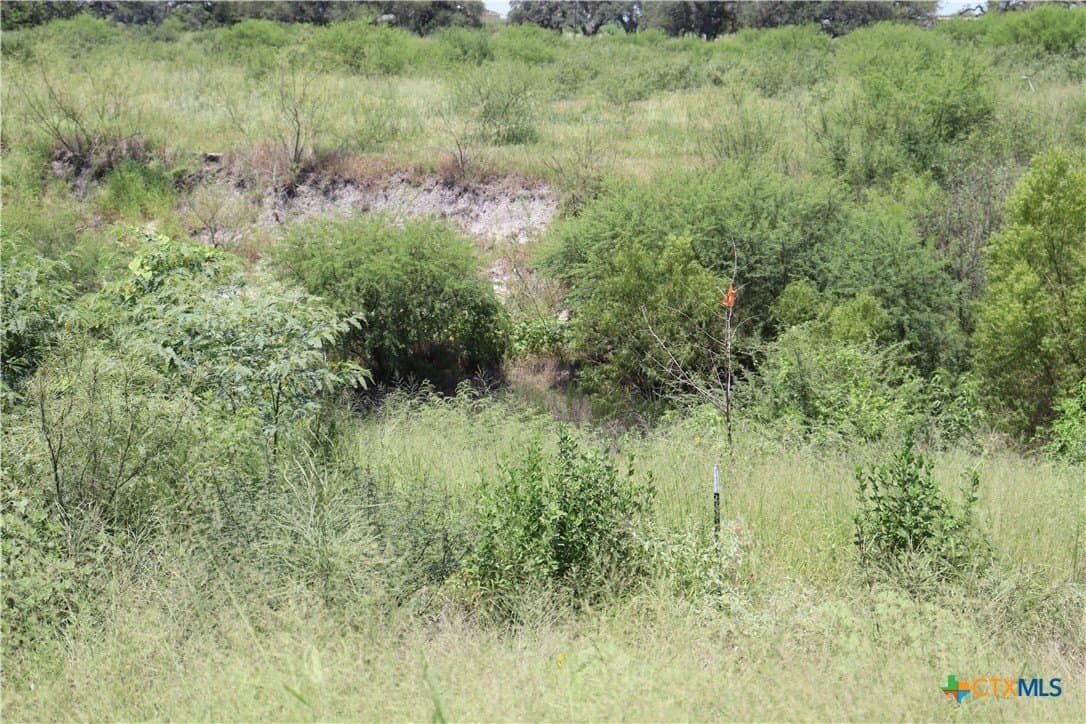 50.94 acres in San Patricio County - photo 19