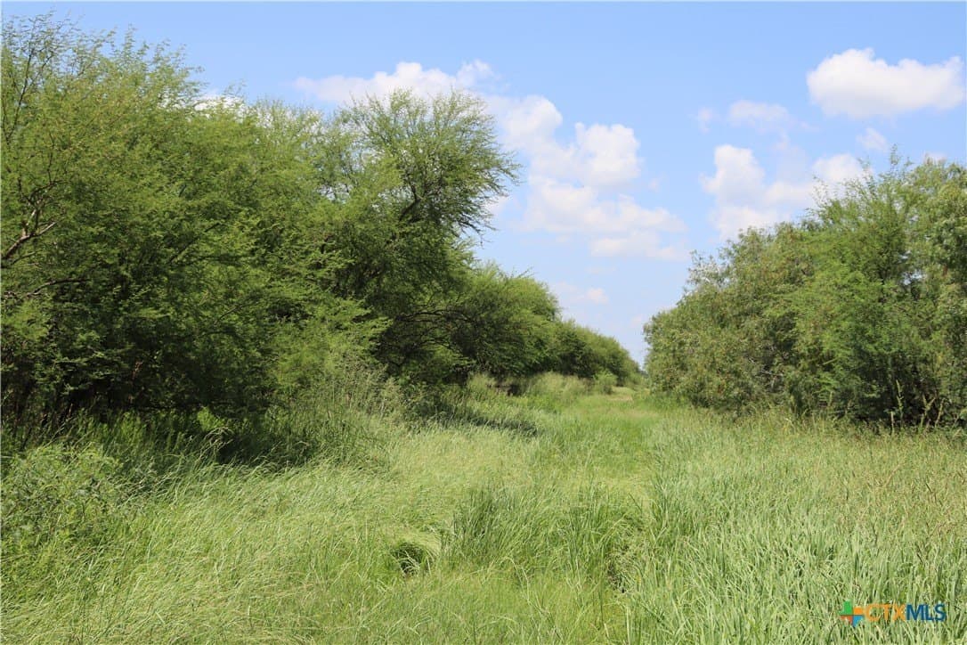 50.94 acres in San Patricio County - photo 24