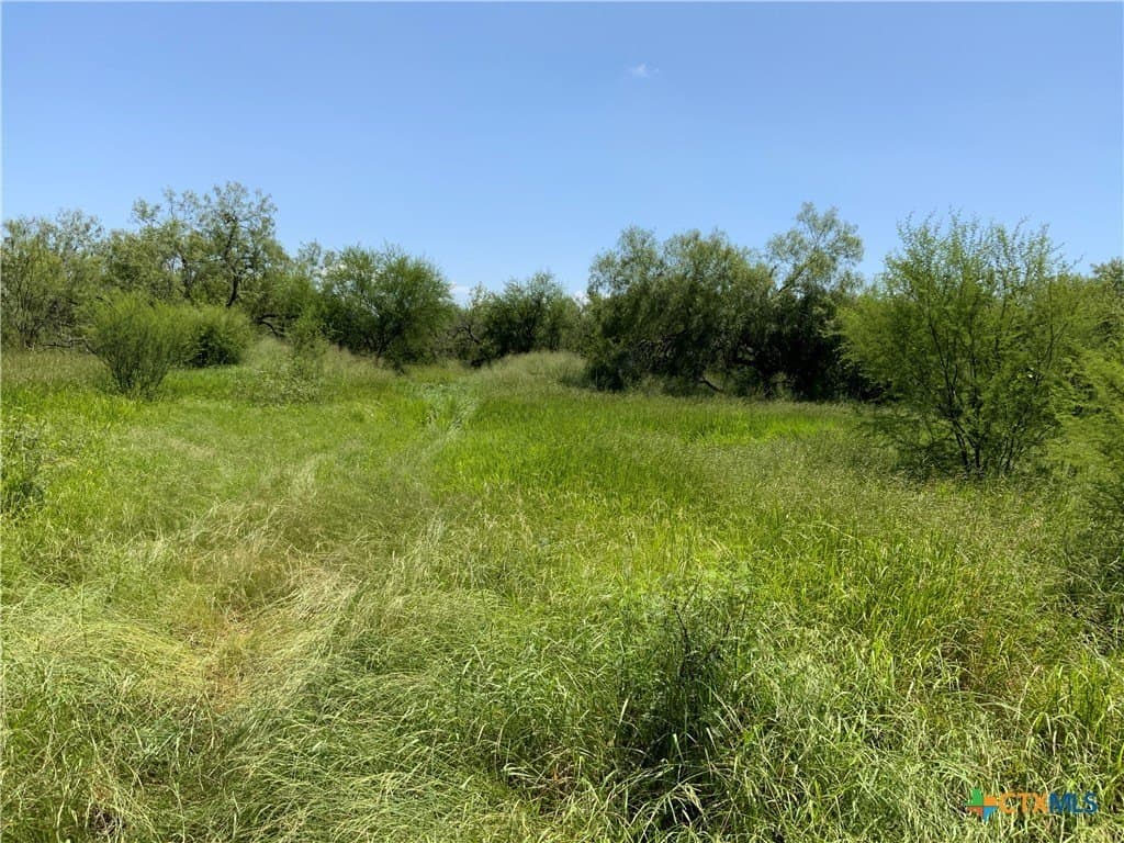 50.94 acres in San Patricio County - photo 7