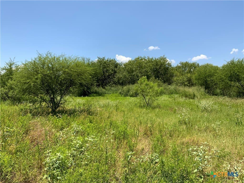 50.94 acres in San Patricio County - photo 5